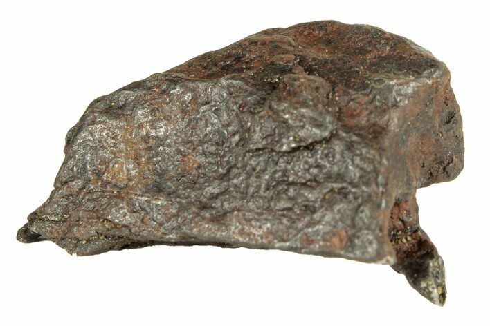Canyon Diablo Iron Meteorite ( g) - Arizona #270799
